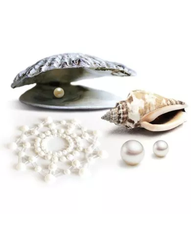 BIJOUX - INDISCRETS MIMI PERLE DOR?