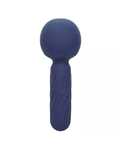 CALEXOTICS - CHARISMA SEDUCTION MASSEUR 12 FONCTIONS 17,75 CM X 6,25 CM VIOLET CALEXOTICS - CHARISMA SEDUCTION MASSEUR 12 FONCTIONS 17,75 CM X 6,25 CM VIOLET