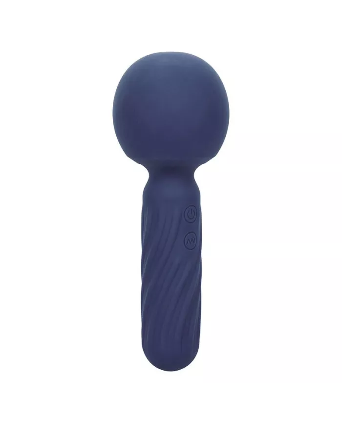 CALEXOTICS - CHARISMA SEDUCTION MASSEUR 12 FONCTIONS 17,75 CM X 6,25 CM VIOLET CALEXOTICS - CHARISMA SEDUCTION MASSEUR 12 FONCTIONS 17,75 CM X 6,25 CM VIOLET