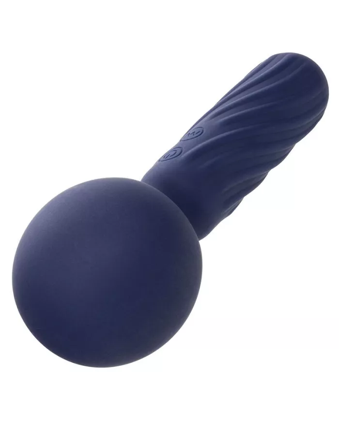 CALEXOTICS - CHARISMA SEDUCTION MASSEUR 12 FONCTIONS 17,75 CM X 6,25 CM VIOLET CALEXOTICS - CHARISMA SEDUCTION MASSEUR 12 FONCTIONS 17,75 CM X 6,25 CM VIOLET