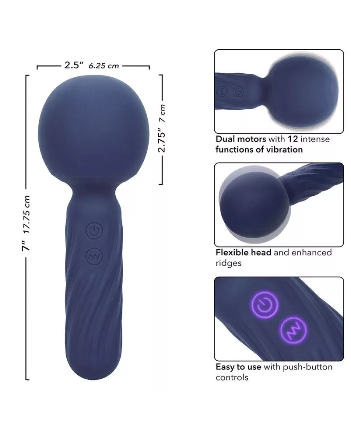 CALEXOTICS - CHARISMA SEDUCTION MASSEUR 12 FONCTIONS 17,75 CM X 6,25 CM VIOLET CALEXOTICS - CHARISMA SEDUCTION MASSEUR 12 FONCTIONS 17,75 CM X 6,25 CM VIOLET