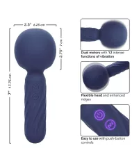 CALEXOTICS - CHARISMA SEDUCTION MASSEUR 12 FONCTIONS 17,75 CM X 6,25 CM VIOLET CALEXOTICS - CHARISMA SEDUCTION MASSEUR 12 FONCTIONS 17,75 CM X 6,25 CM VIOLET