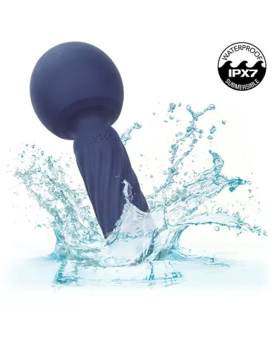 CALEXOTICS - CHARISMA SEDUCTION MASSEUR 12 FONCTIONS 17,75 CM X 6,25 CM VIOLET CALEXOTICS - CHARISMA SEDUCTION MASSEUR 12 FONCTIONS 17,75 CM X 6,25 CM VIOLET