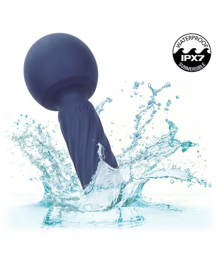 CALEXOTICS - CHARISMA SEDUCTION MASSEUR 12 FONCTIONS 17,75 CM X 6,25 CM VIOLET CALEXOTICS - CHARISMA SEDUCTION MASSEUR 12 FONCTIONS 17,75 CM X 6,25 CM VIOLET