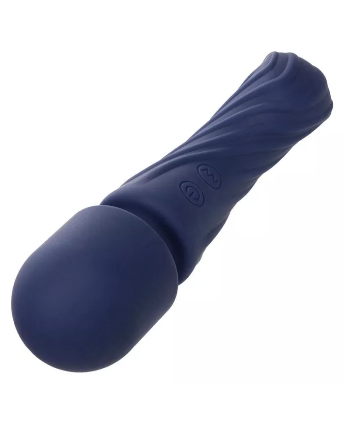 CALEXOTICS - CHARISMA ALLURE MASSEUR DOUBLE MOTEURS 12 FONCTIONS 17,25 CM X 4,5 CM VIOLET CALEXOTICS - CHARISMA ALLURE MASSEUR DOUBLE MOTEURS 12 FONCTIONS 17,25 CM X 4,5 CM VIOLET