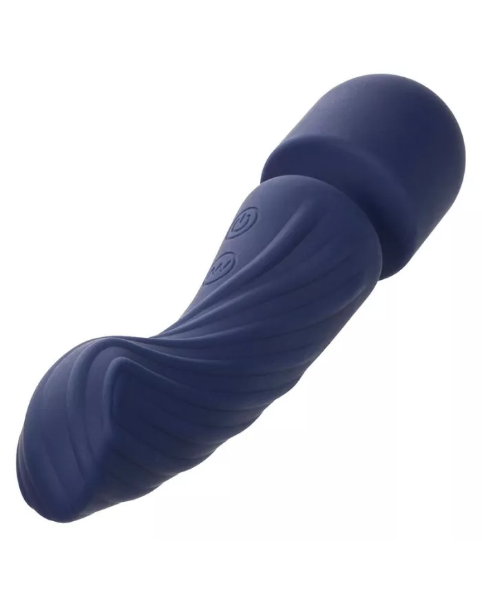 CALEXOTICS - CHARISMA ALLURE MASSEUR DOUBLE MOTEURS 12 FONCTIONS 17,25 CM X 4,5 CM VIOLET CALEXOTICS - CHARISMA ALLURE MASSEUR DOUBLE MOTEURS 12 FONCTIONS 17,25 CM X 4,5 CM VIOLET