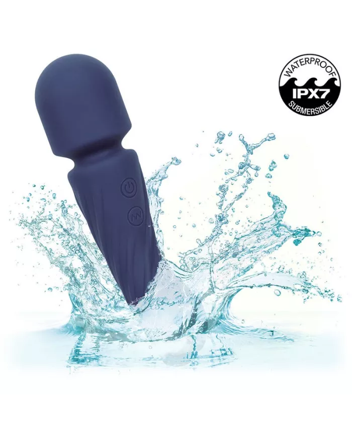 CALEXOTICS - CHARISMA ALLURE MASSEUR DOUBLE MOTEURS 12 FONCTIONS 17,25 CM X 4,5 CM VIOLET CALEXOTICS - CHARISMA ALLURE MASSEUR DOUBLE MOTEURS 12 FONCTIONS 17,25 CM X 4,5 CM VIOLET