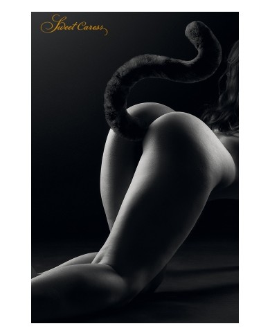 Plug noir queue de chat - Sweet Caress
