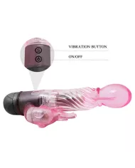 BAILE - VOUS OFFRIR UNE SORTE DE VIBRATEUR AMANT AVEC RABBIT ROSE 10 MODES BAILE - VOUS OFFRIR UNE SORTE DE VIBRATEUR AMANT AVEC RABBIT ROSE 10 MODES