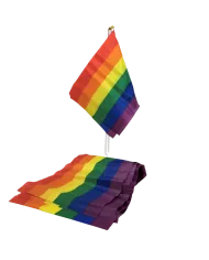 PRIDE - PETITE BANNIÈRE DRAPEAU LGBT PRIDE - PETITE BANNIÈRE DRAPEAU LGBT