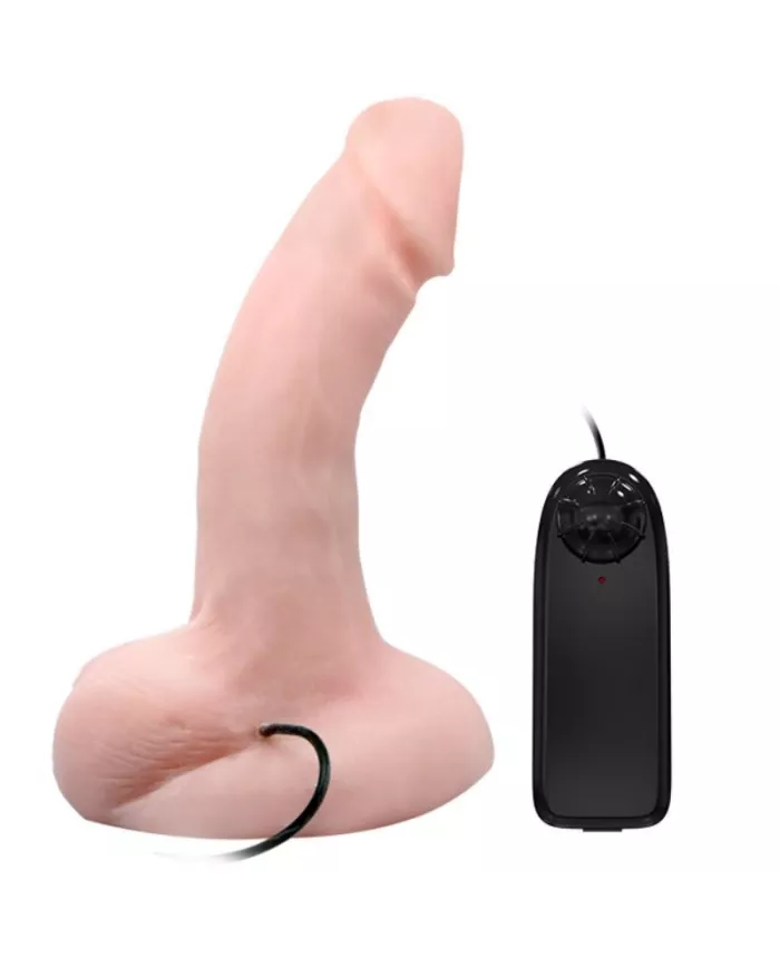 BAILE - FONCTION DE VIBRATION ET DE ROTATION DU GODE ARBITRAIRE BAILE - FONCTION DE VIBRATION ET DE ROTATION DU GODE ARBITRAIRE