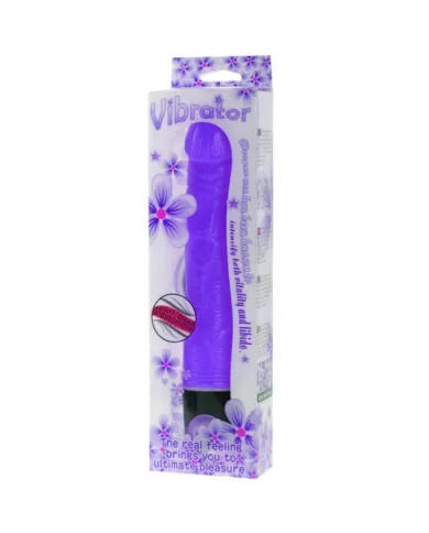 BAILE - VIBRATEUR DE MULTIVITESSES 21.5 CM VIOLET
