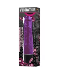 BAILE - VIBRATEUR MULTIVITESSES LILAS BAILE - VIBRATEUR MULTIVITESSES LILAS