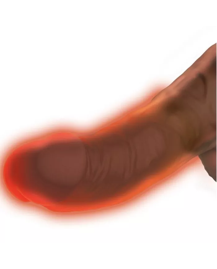 KING COCK - PLUS TRIPLE MENACE TON DE PEAU MARRON KING COCK - PLUS TRIPLE MENACE TON DE PEAU MARRON