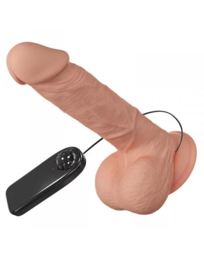 BAILE - BELLE RENCONTRE BAHAMUT VIBRATION 21.8 CM NATUREL BAILE - BELLE RENCONTRE BAHAMUT VIBRATION 21.8 CM NATUREL