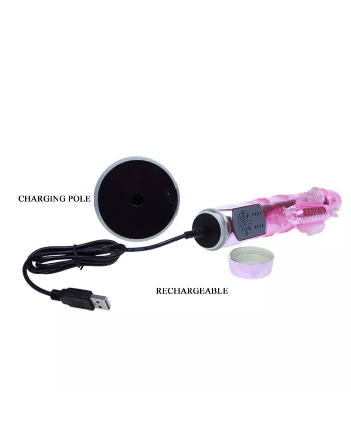 BAILE - US LAPIN PAPILLON PALNITANT