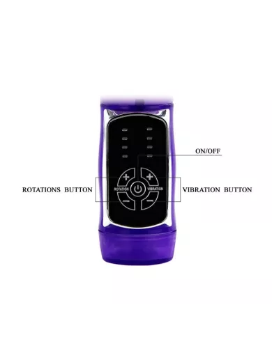 BAILE - US LAPIN PAPILLON PRINCE