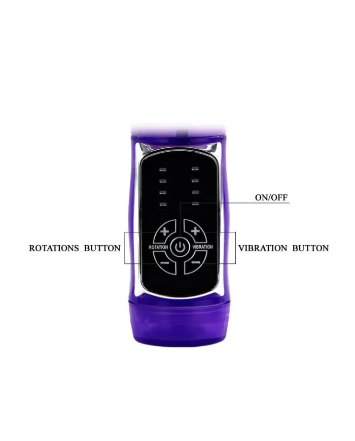 BAILE - US LAPIN PAPILLON PRINCE BAILE - US LAPIN PAPILLON PRINCE