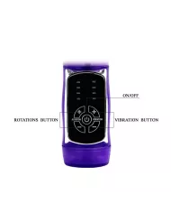 BAILE - US LAPIN PAPILLON PRINCE BAILE - US LAPIN PAPILLON PRINCE