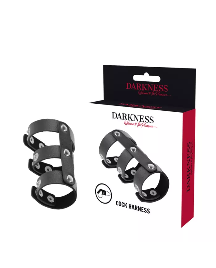 DARKNESS - DOUBLE ANNEAU DE PÉNIS ET TESTICULES EN CUIR RÉGLABLE
