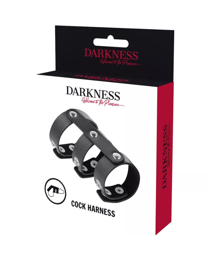 DARKNESS - DOUBLE ANNEAU DE PÉNIS ET TESTICULES EN CUIR RÉGLABLE