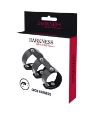DARKNESS - DOUBLE ANNEAU DE PÉNIS ET TESTICULES EN CUIR RÉGLABLE