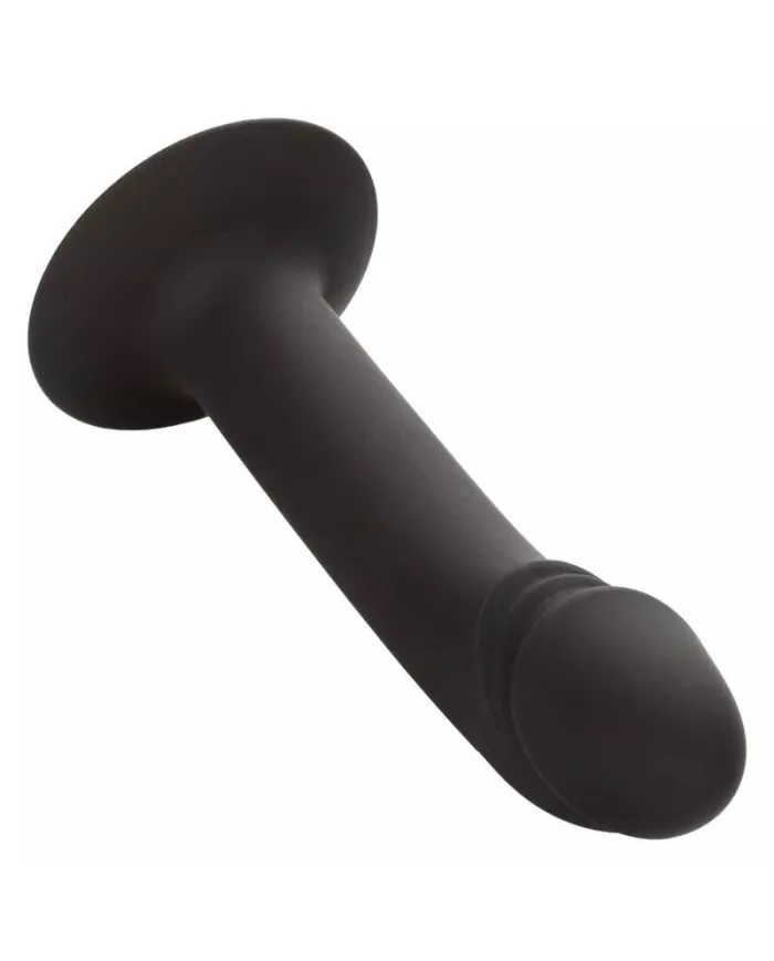 CALEXOTICS - STUD ANAL COURB?