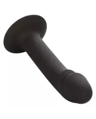 CALEXOTICS - STUD ANAL COURB?