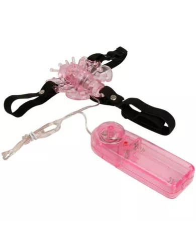 BAILE - HARNAIS AVEC PAPILLON VIBRANT MULTIVITESSES