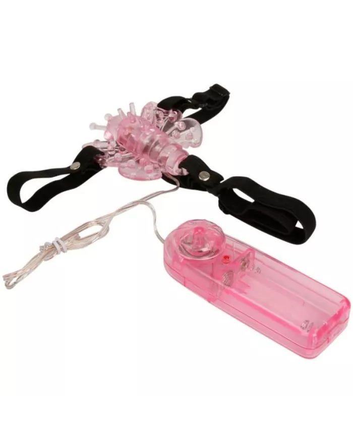 BAILE - HARNAIS AVEC PAPILLON VIBRANT MULTIVITESSES BAILE - HARNAIS AVEC PAPILLON VIBRANT MULTIVITESSES