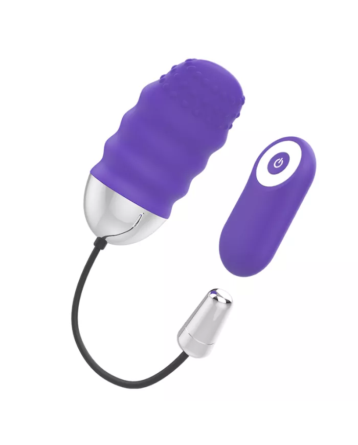 MR BOSS - TÉLÉCOMMANDE DENIS EGG