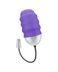 MR BOSS - TÉLÉCOMMANDE DENIS EGG