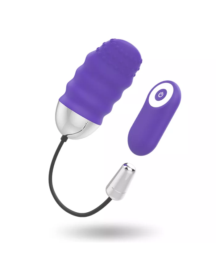 MR BOSS - TÉLÉCOMMANDE DENIS EGG