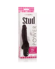 CALEXOTICS - VIBRATEUR NOIR POWER STUD CLITERRIFIC CALEXOTICS - VIBRATEUR NOIR POWER STUD CLITERRIFIC