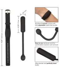 CALEXOTICS - BRACELET TELECOMMANDE PETITE BULLET