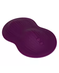 CALEXOTICS - TÉLÉCOMMANDE DUAL RIDER