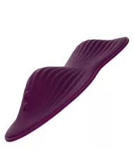 CALEXOTICS - TÉLÉCOMMANDE DUAL RIDER