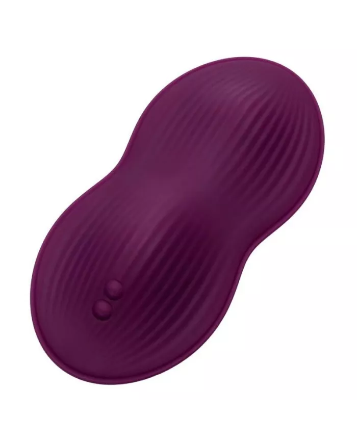 CALEXOTICS - TÉLÉCOMMANDE DUAL RIDER