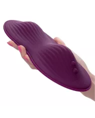 CALEXOTICS - TÉLÉCOMMANDE DUAL RIDER