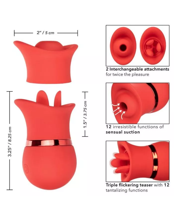 CALEXOTICS - ENSEMBLE FRENCH KISS SUCK & PLAY CALEXOTICS - ENSEMBLE FRENCH KISS SUCK & PLAY