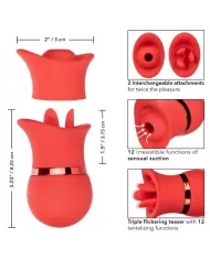 CALEXOTICS - ENSEMBLE FRENCH KISS SUCK & PLAY CALEXOTICS - ENSEMBLE FRENCH KISS SUCK & PLAY