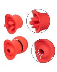 CALEXOTICS - ENSEMBLE FRENCH KISS SUCK & PLAY CALEXOTICS - ENSEMBLE FRENCH KISS SUCK & PLAY