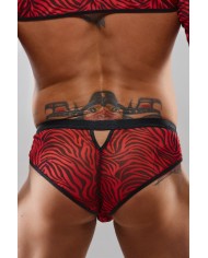 Slip type brésilien zébré rouge et noir - Regnes