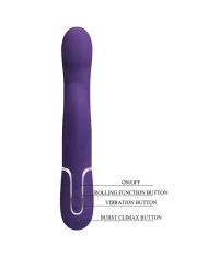 PRETTY LOVE - ZALIN PERLES VIBRATEUR LAPIN 4 EN 1 VIOLET PRETTY LOVE - ZALIN PERLES VIBRATEUR LAPIN 4 EN 1 VIOLET