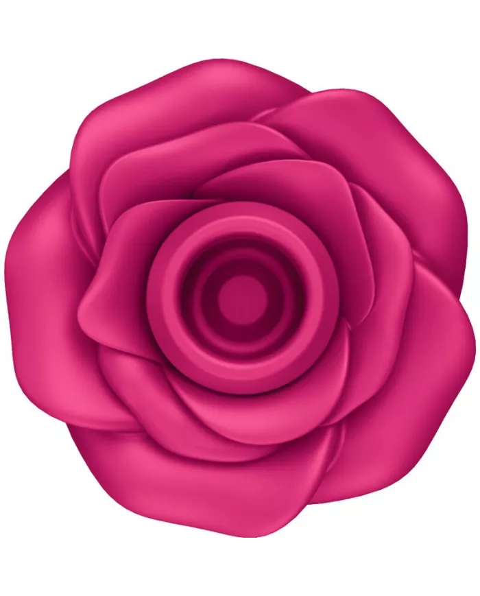 SATISFYER - AIR PULSE VIBRATEUR FLEUR CLASSIQUE PRO 2 SATISFYER - AIR PULSE VIBRATEUR FLEUR CLASSIQUE PRO 2