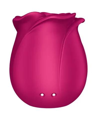 SATISFYER - AIR PULSE VIBRATEUR FLEUR CLASSIQUE PRO 2 SATISFYER - AIR PULSE VIBRATEUR FLEUR CLASSIQUE PRO 2