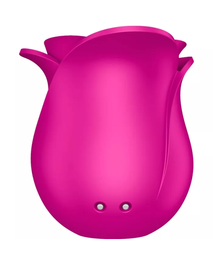 SATISFYER - AIR PULSE VIBRATEUR FLEUR MODERNE PRO 2 SATISFYER - AIR PULSE VIBRATEUR FLEUR MODERNE PRO 2