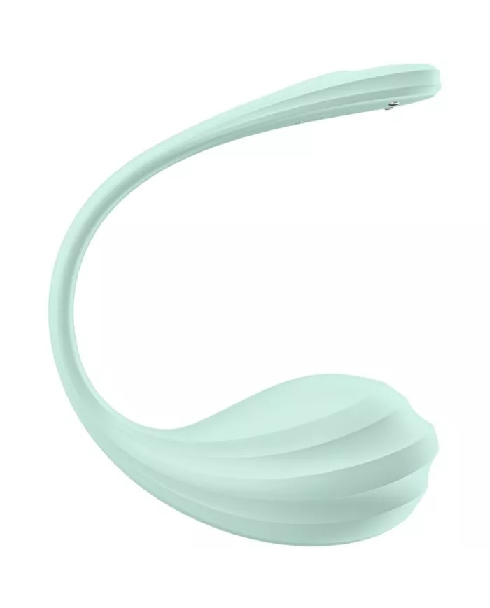 SATISFYER - APPLICATION GRATUITE STIMULATEUR DE POINT G PÉTALE LISSE VERT D'EAU SATISFYER - APPLICATION GRATUITE STIMULATEUR DE POINT G PÉTALE LISSE VERT D'EAU