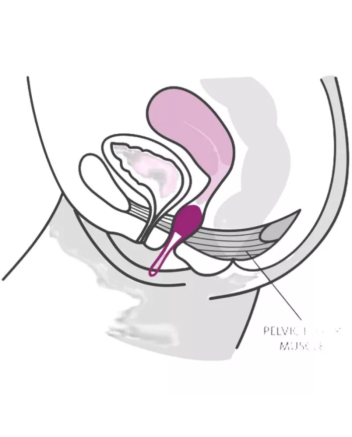 FUN FACTORY - SMARTBALL UNO PELVIC BALL BLANC / VIOLET PASTEL FUN FACTORY - SMARTBALL UNO PELVIC BALL BLANC / VIOLET PASTEL