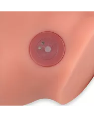 XISE - FREDERICO MASTURBATEUR GODE RÉALISTE POSITION FRONTALE AVEC POUSSÉE 15 CM